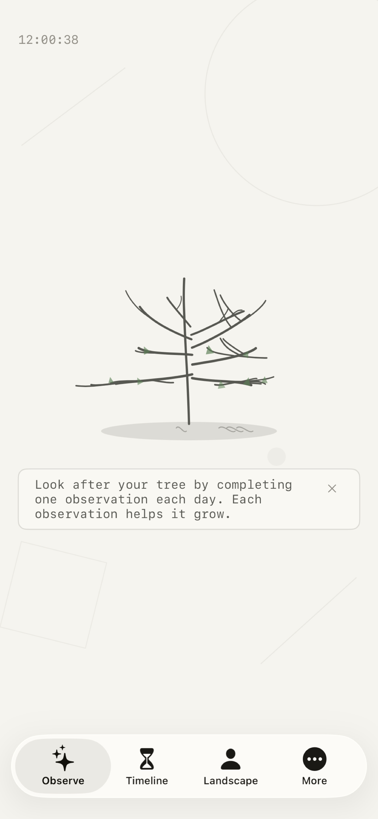 Rorrim tree screen